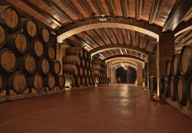 Zona de barricas en Viñedos Rhey